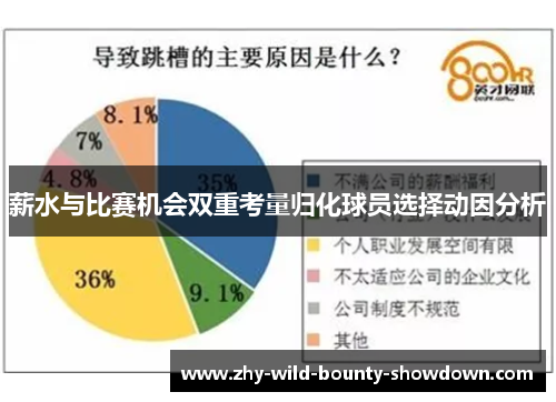 薪水与比赛机会双重考量归化球员选择动因分析 薪水与比赛机会双重考量归化球员选择动因分析