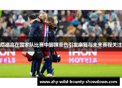 厄德高在国家队比赛中脚踝重伤引发康复与未来赛程关注